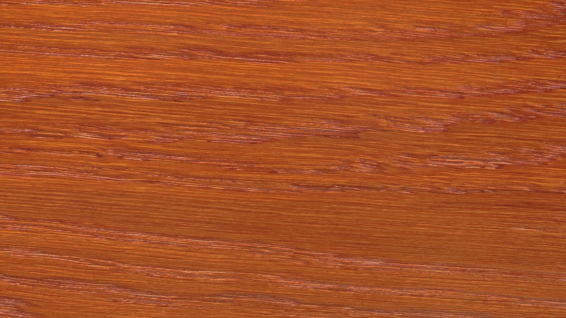 colorwood 21_57b7366bcab94